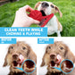 Teddy Golden Dog Toy – Durable Cotton Rope Chew Set for Big Dogs | My Darling Pet Story
