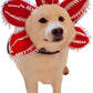 Dog Halloween Chomper Costume, Demon Hat Scary Headband & Funny Cosplay Headwear for Medium Dogs