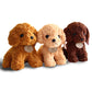 Teddy Dog Plush Toy, Super Soft Short Plush Stuffed Animal with PP Cotton Filling (Kids Safe)
