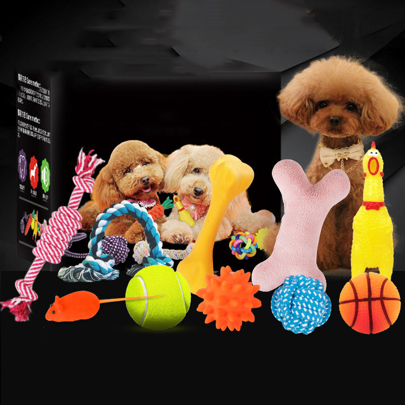 Excitement in a Box: Vocal Dog Toy Assortment Sets (Rubber & Cotton Rope Mix, Random Colors).