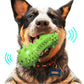Brush & Play: Vocal Dog Toothbrush Toy (TPR Molar Cleaner, $\mathbf{160\text{g}}$).