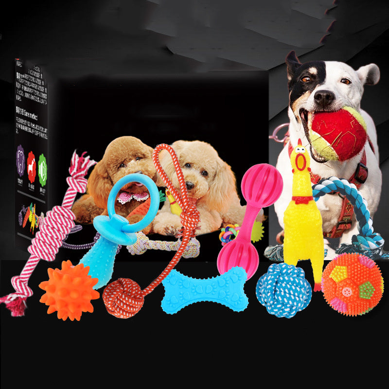 Excitement in a Box: Vocal Dog Toy Assortment Sets (Rubber & Cotton Rope Mix, Random Colors).