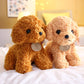 Teddy Dog Plush Toy, Super Soft Short Plush Stuffed Animal with PP Cotton Filling (Kids Safe)