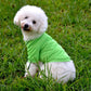 Pet Clothes, Solid Color Dog Polo Shirt with Lapel | Casual Puppy Cotton T-Shirt