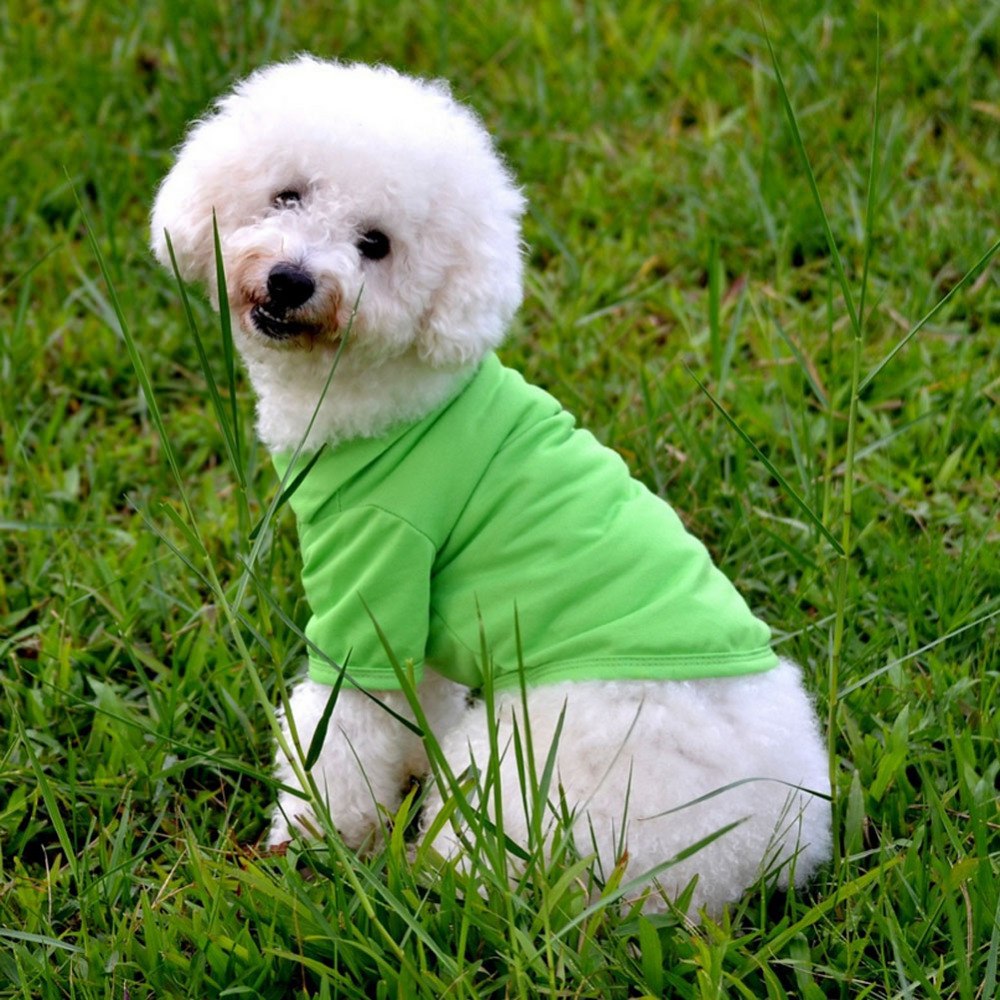 Pet Clothes, Solid Color Dog Polo Shirt with Lapel | Casual Puppy Cotton T-Shirt