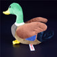 Cute Mallard Duck Plush Doll – Realistic Simulation Duck Toy for Kids