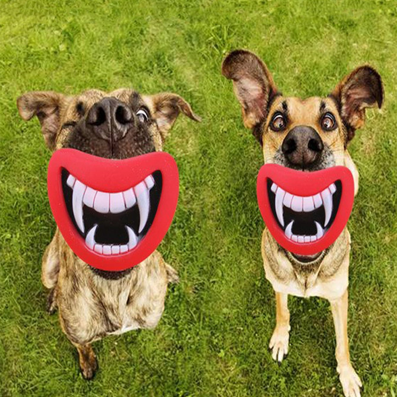 Funny Festival Fun: Non-Toxic Enamel Dog Sounding Toy (Pacifier/Beak Design, Soft & Bite-Resistant).