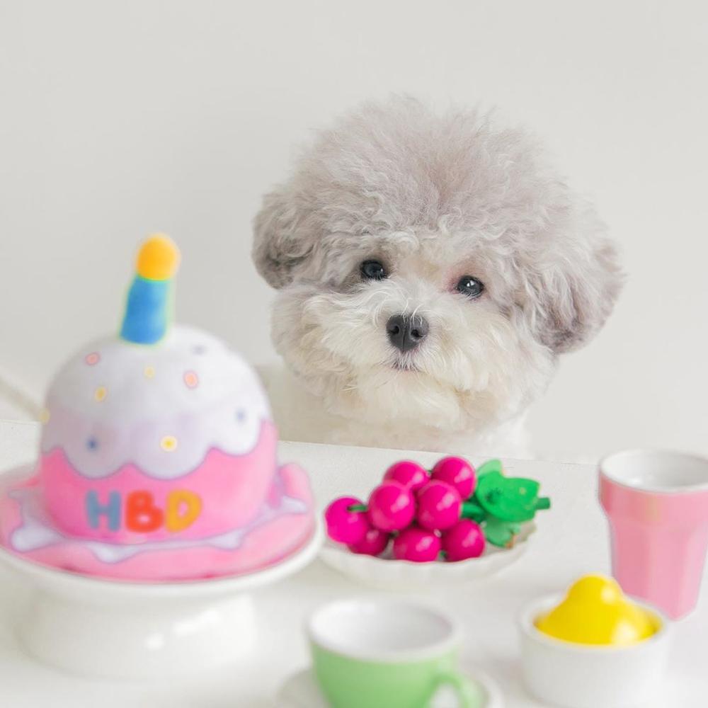 Cute Birthday Cake Hat for Pets, Plush Creative Dog & Cat Hat with Chew-Friendly Design