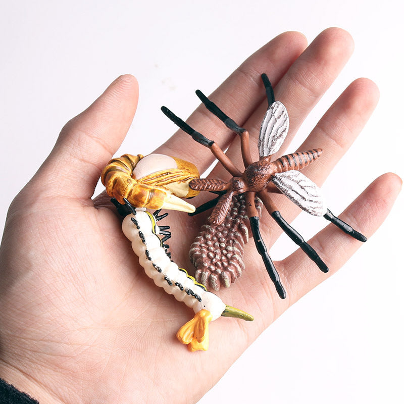 Learn & Play: $\mathbf{5}$ Sets Mini Frog Growth Cycle Simulation Animal Model Toy.