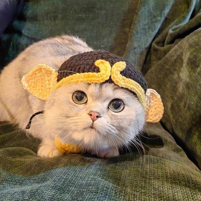 Hand-Crocheted Pet Knitted Hat, Funny INS-Style Wool Headgear for Cats & Dogs