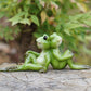 Pastoral Whimsy: Creative Cute Sunflower Frog Resin Ornaments (Many Poses).