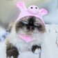 Cute Cartoon Pet Headgear, Sunflower, Animal & Character Hats for Cats and Small Dogs