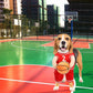 Pet Costumes, Dog Basketball Player Costume for Halloween, Sports Cosplay & Funny Dress-Up