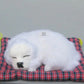 Quiet Comfort: Lovely Simulation Dog Plush Doll with Sound (Sleep Toy, $\mathbf{14\text{cm}}$).