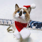 Christmas Hat & Scarf Set for Pets, Red Short-Plush Holiday Outfit for Cats & Small Dogs