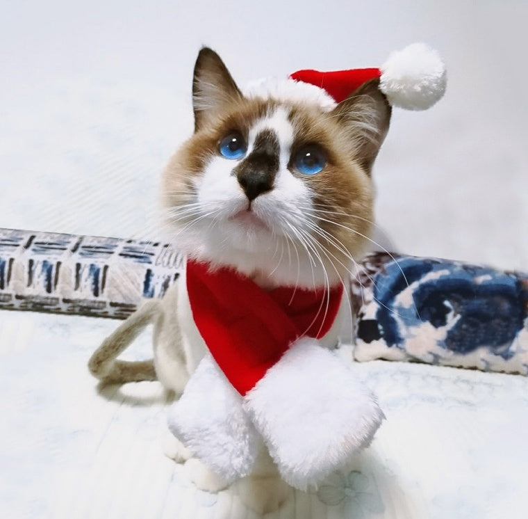 Christmas Hat & Scarf Set for Pets, Red Short-Plush Holiday Outfit for Cats & Small Dogs