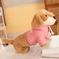 Cozy & Cute: Sweatshirt/Collar Sausage Dog Doll Plush Toy ($\mathbf{30}$–$\mathbf{55\text{cm}}$) for Youth.