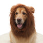 Pet Dog Lion Head Wig, Velvet Dog Hat & Costume Cover
