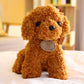 Teddy Dog Plush Toy, Super Soft Short Plush Stuffed Animal with PP Cotton Filling (Kids Safe)