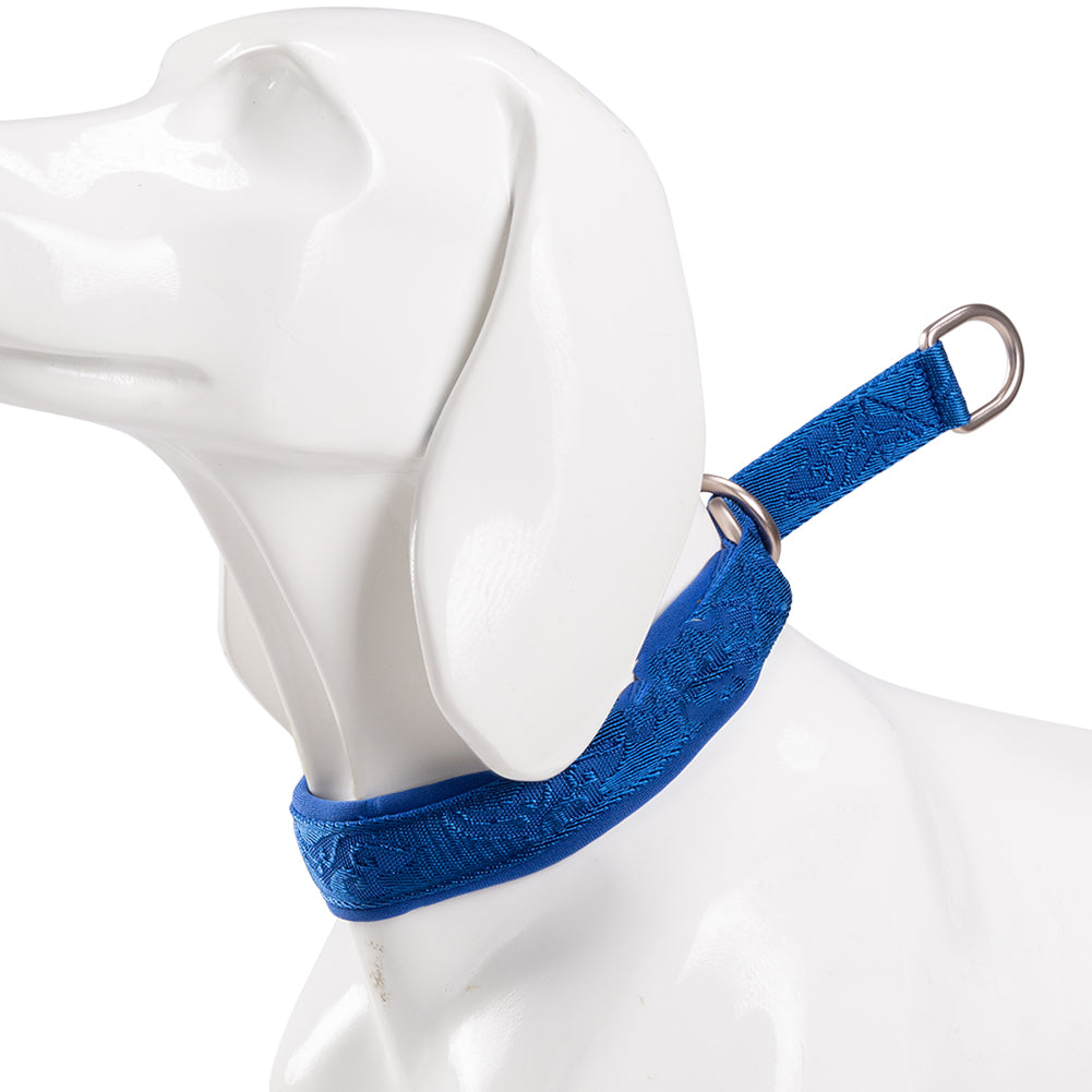 Fashion Personality P-Chain Walking Dog Neck Ring, Durable Nylon Collar with Aluminum Alloy Hardware (2XS–3XL)