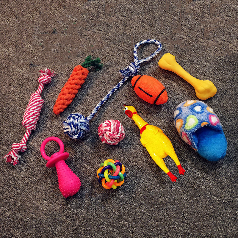 Excitement in a Box: Vocal Dog Toy Assortment Sets (Rubber & Cotton Rope Mix, Random Colors).