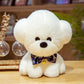 Heartfelt Hugs: Love Dog Plush Doll (Soft Short Plush, PP Cotton Filled).