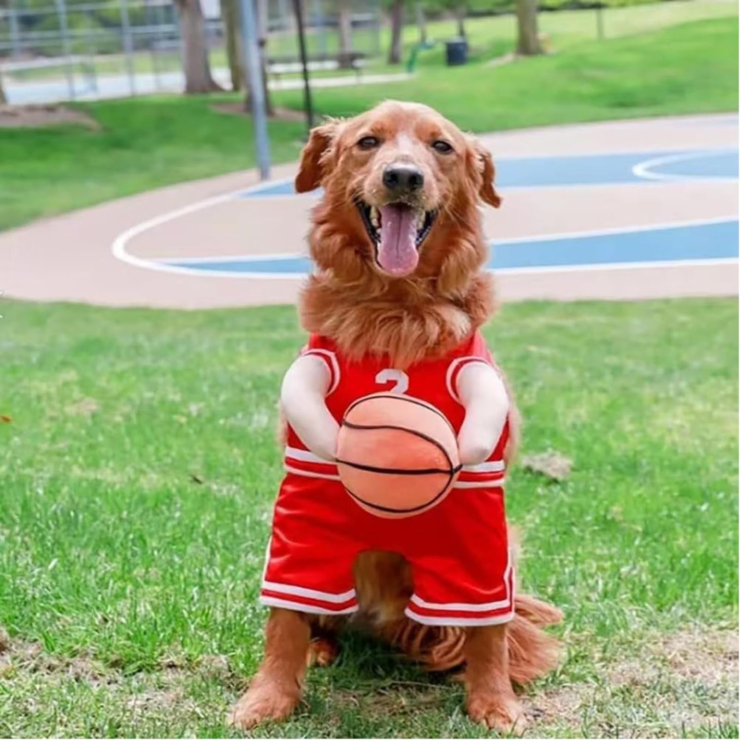 Pet Costumes, Dog Basketball Player Costume for Halloween, Sports Cosplay & Funny Dress-Up
