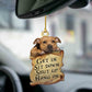 Sleeping Dog Angel Car Pendant, Acrylic Hanging Ornament for Cars, Doors & Home Decor