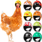 Hens Helmet – Chicken & Bird Pet Safety Hat | Funny Hard Headwear for Parakeets & Small Poultry