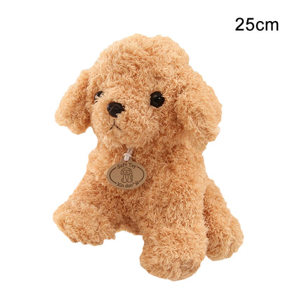 Teddy Dog Plush Toy, Soft Seaweed Hair Stuffed Animal with PP Cotton Filling (18cm / 25cm)