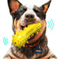 Brush & Play: Vocal Dog Toothbrush Toy (TPR Molar Cleaner, $\mathbf{160\text{g}}$).