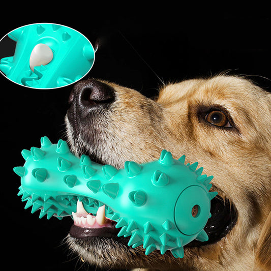 Brush & Play: Vocal Dog Toothbrush Toy (TPR Molar Cleaner, $\mathbf{160\text{g}}$).