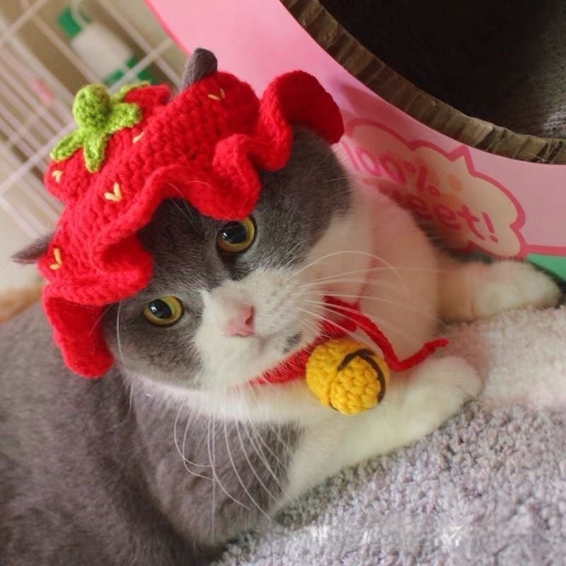 Hand-Crocheted Pet Knitted Hat, Funny INS-Style Wool Headgear for Cats & Dogs