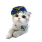 Cute Cartoon Pet Headgear, Sunflower, Animal & Character Hats for Cats and Small Dogs