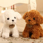 Teddy Dog Plush Toy, Soft Seaweed Hair Stuffed Animal with PP Cotton Filling (18cm / 25cm)