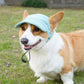 Casual Corduroy Pet Hat, Monochrome Baseball & Bucket Style Caps for Cats & Dogs