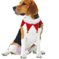 Cute Dog Cat Costume Christmas Cloak, Halloween Disguise Pet Transformation Outfit