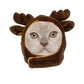 Cartoon Animal Pet Headgear, Cute Dog & Cat Hat for Cross-Dressing, Parties & Photoshoots