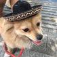 Mexican-Style Pet Hat, Festive Dog & Cat Sombrero (Red Ball / Brown Lace)