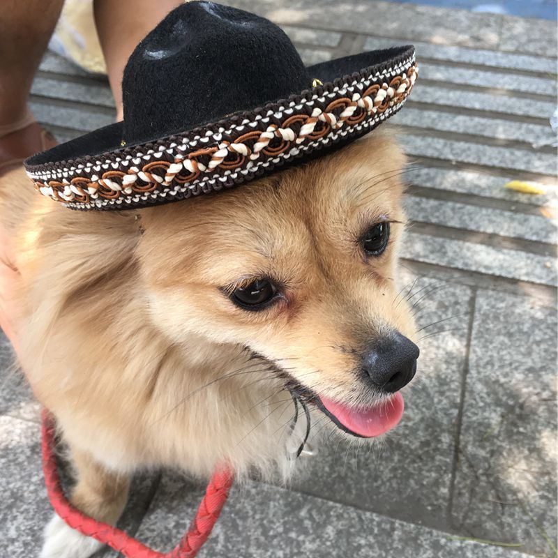 Mexican-Style Pet Hat, Festive Dog & Cat Sombrero (Red Ball / Brown Lace)