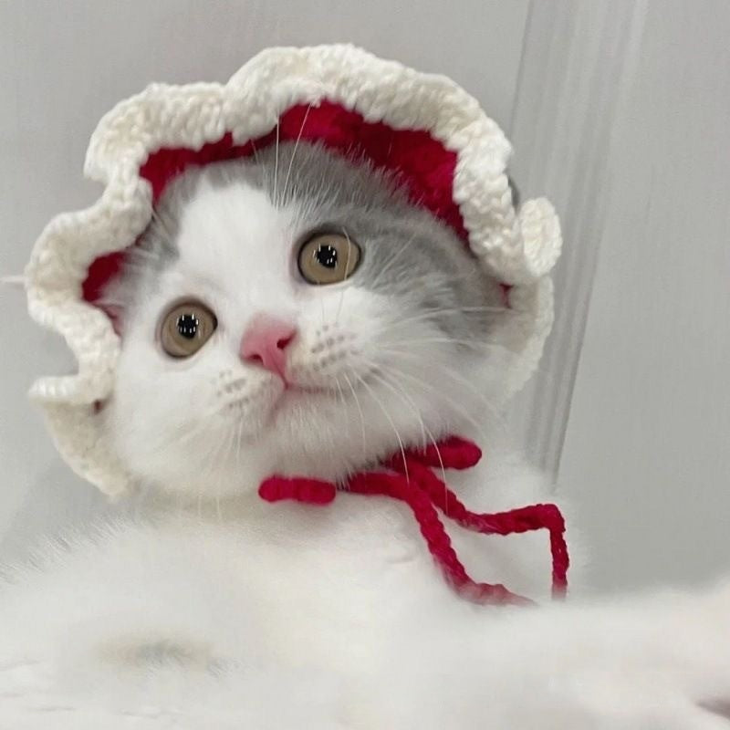 Hand-Crocheted Pet Knitted Hat, Funny INS-Style Wool Headgear for Cats & Dogs
