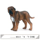 Realistic Plastic Dog Model Toy, Large Cognitive Animal Figures for Kids & Collectors