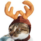 Pet Transformation Costume, Hat, Headgear, Scarf & Cloak Accessory for Cats & Dogs
