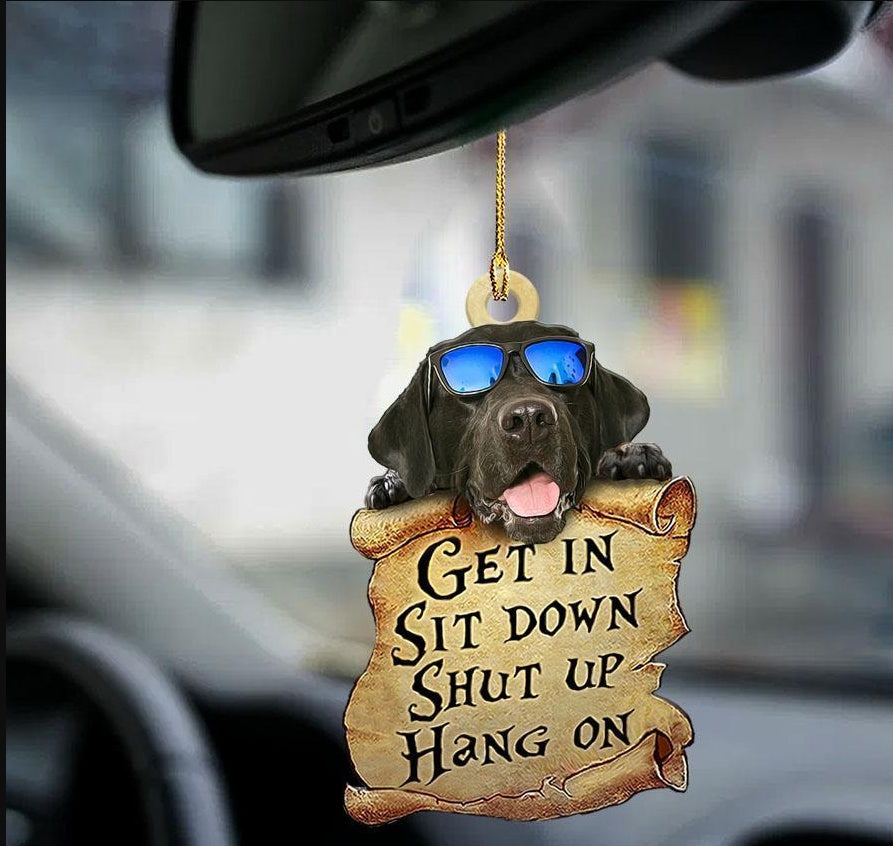 Sleeping Dog Angel Car Pendant, Cute Acrylic Hanging Ornament for Cars, Doors & Home Decor