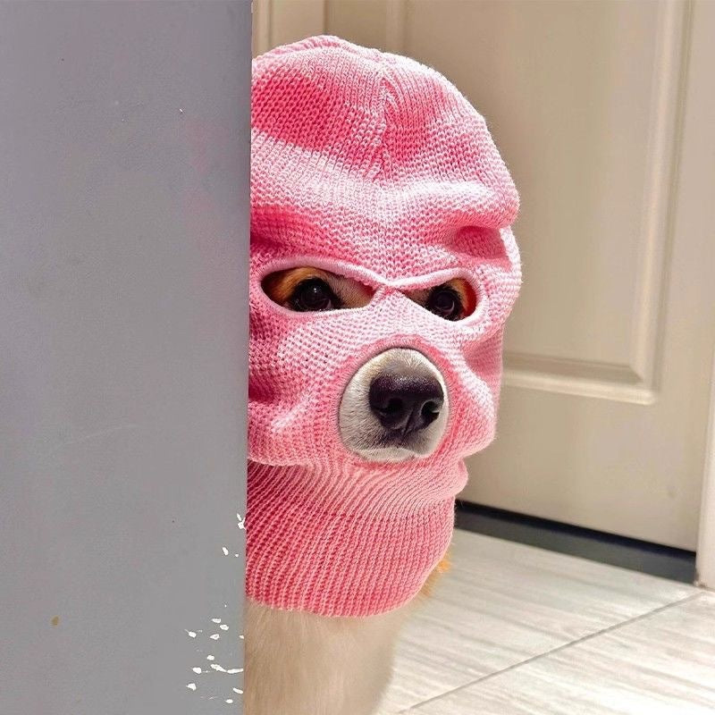 Corgi Puppy Headgear Hat, Cute Wool Dog Creative Headdress