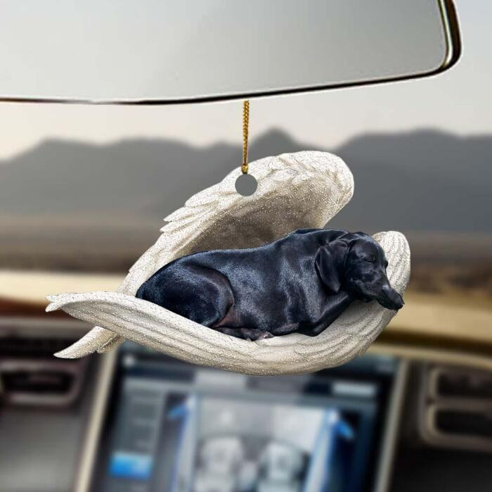 Sleeping Dog Angel Car Pendant, Acrylic Hanging Ornament for Cars, Doors & Home Decor