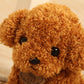 Teddy Dog Plush Toy, Soft Seaweed Hair Stuffed Animal with PP Cotton Filling (18cm / 25cm)
