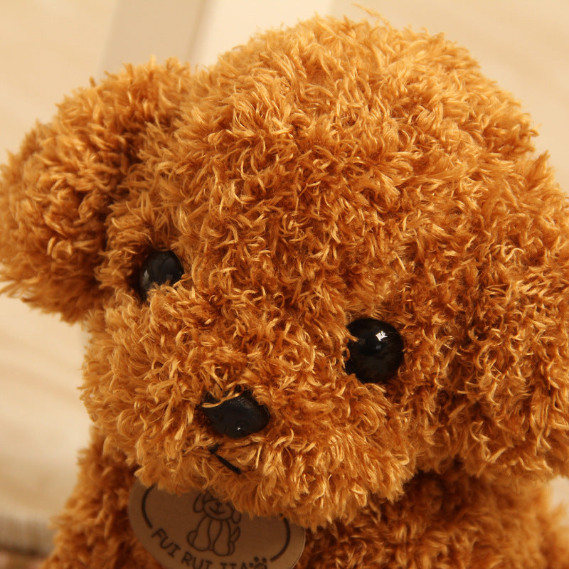Teddy Dog Plush Toy, Soft Seaweed Hair Stuffed Animal with PP Cotton Filling (18cm / 25cm)