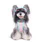 Dog Hat with Ear Holes, Exposed Ears Pet Cap for Small Dogs (Bichon, Schnauzer)