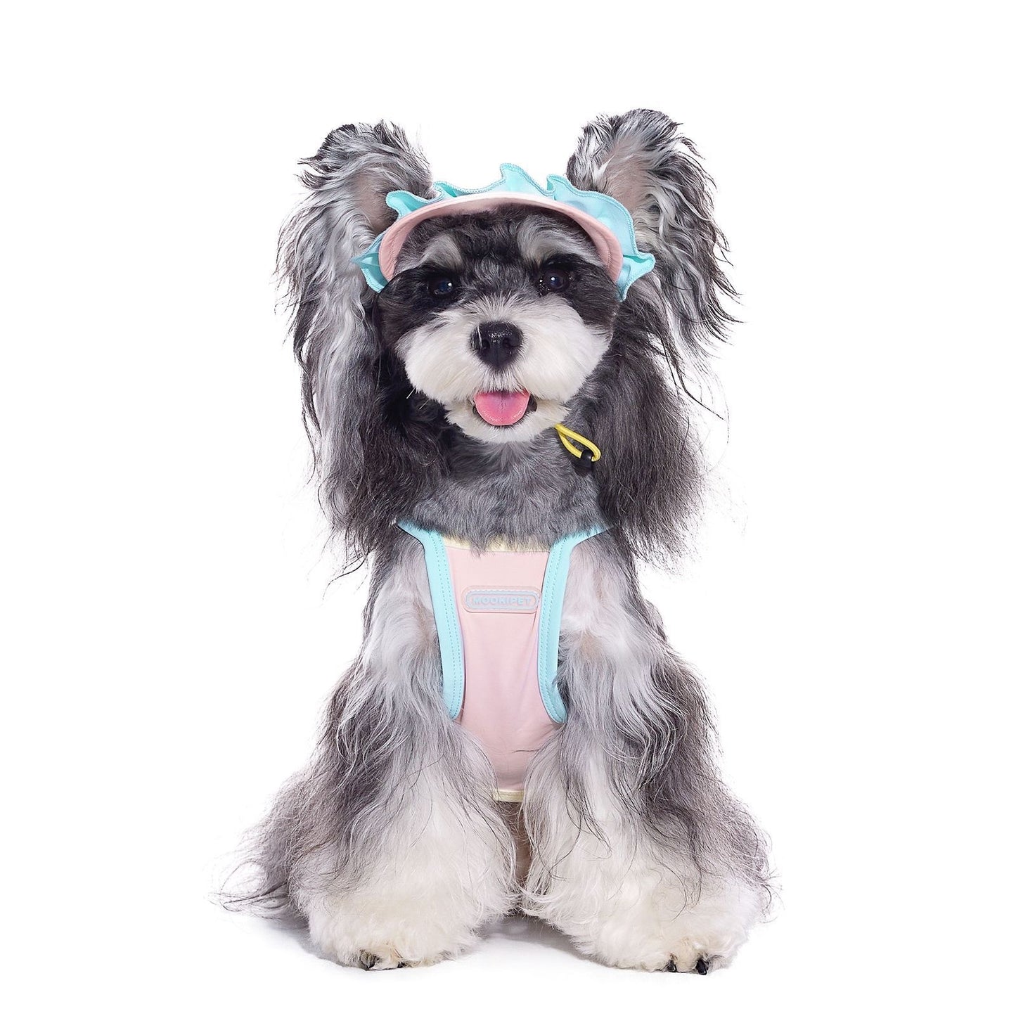 Dog Hat with Ear Holes, Exposed Ears Pet Cap for Small Dogs (Bichon, Schnauzer)
